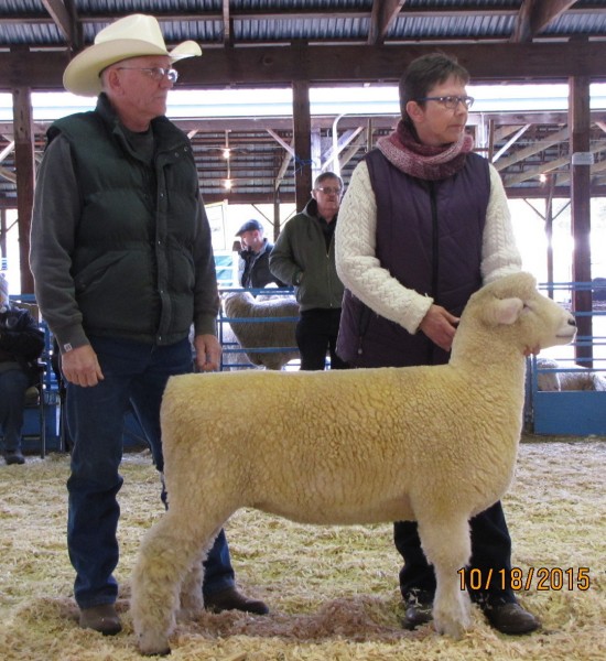 Sue and Graeme at NYS SWF October 2015