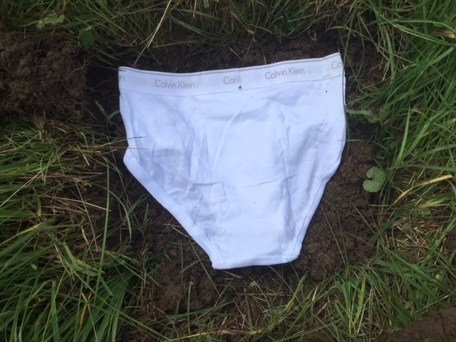 Bury Your Briefs: Discover the Keys to Soil Health “Tighty Whitey