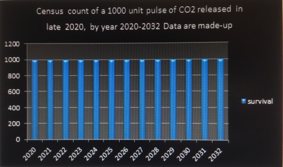 graph2Oct4